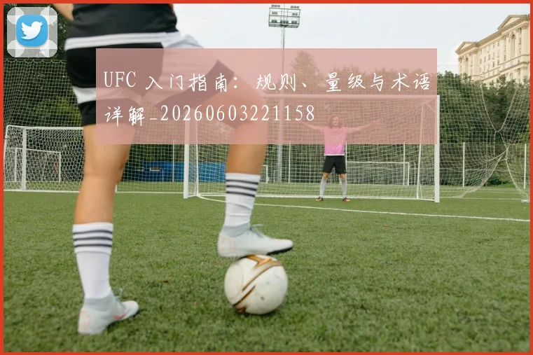 UFC 入门指南：规则、量级与术语详解_20260603221158