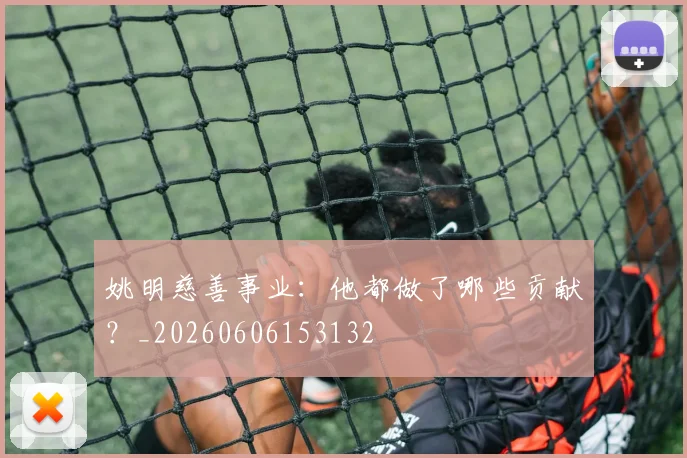 姚明慈善事业：他都做了哪些贡献？_20260606153132