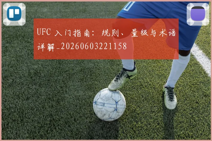UFC 入门指南:规则、量级与术语详解_20260603221158
